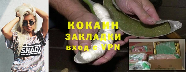 ГАЛЛЮЦИНОГЕННЫЕ ГРИБЫ Каменногорск