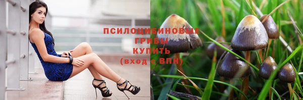тгк Липки