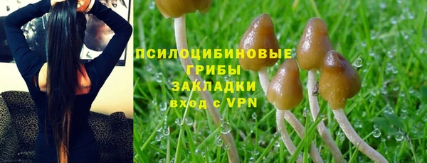 тгк Липки
