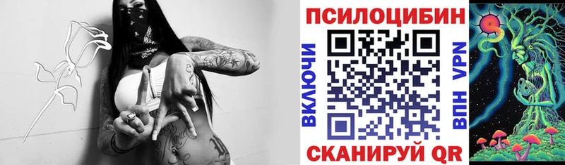 Псилоцибиновые грибы Magic Shrooms  блэк спрут ONION  Шарья 