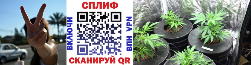 Марихуана THC 21%  даркнет сайт  мориарти как зайти  Шарья  mega ONION 